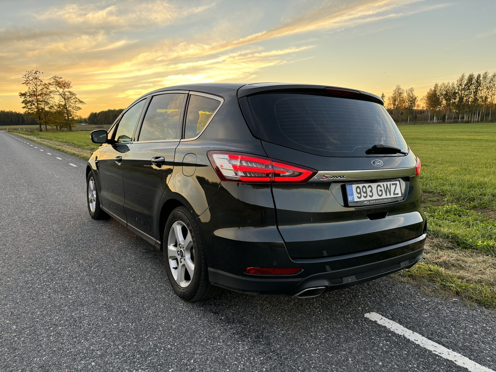 Ford S-Max 2016, photo 5/10