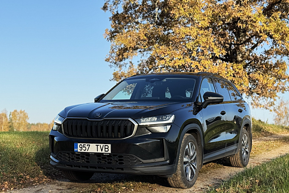 Škoda Kodiaq, 2024, 1.5, 110 kW, pistikhübriid (bensiin/elekter), automaat, esivedu