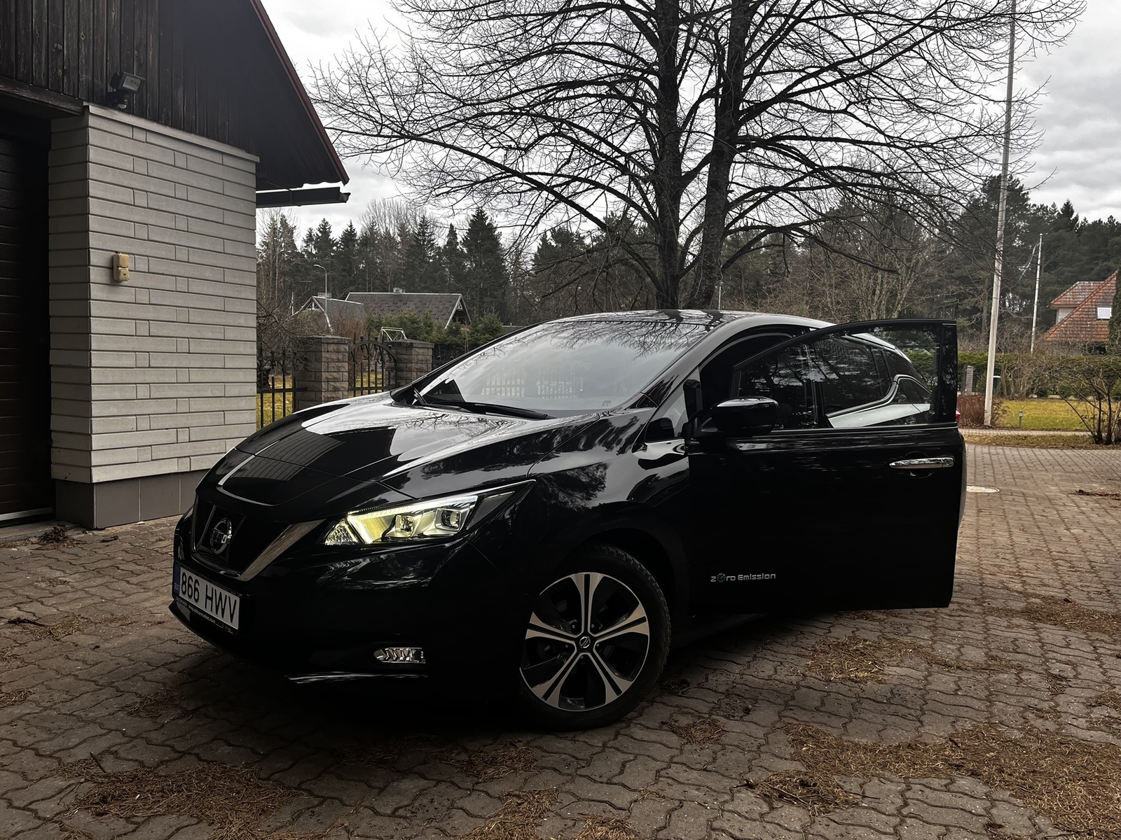 Nissan Leaf 2020, photo 2/20
