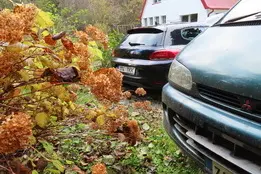 Volkswagen Scirocco, 2009, 2.0, 103 kW, diisel, automaat, esivedu