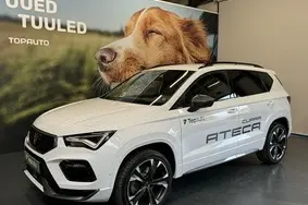 Müüa kasutatud auto Cupra Ateca Cupra, 2024, 23 419 km, 1.5, 110 kW, bensiin, automaat, esivedu, 144PLS, VSSZZZ5F9R6507910