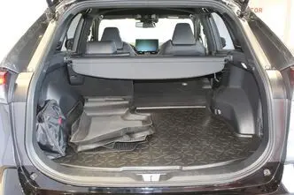 Toyota RAV4, 2.5, 131 kW, hybrid, automatic, four-wheel drive