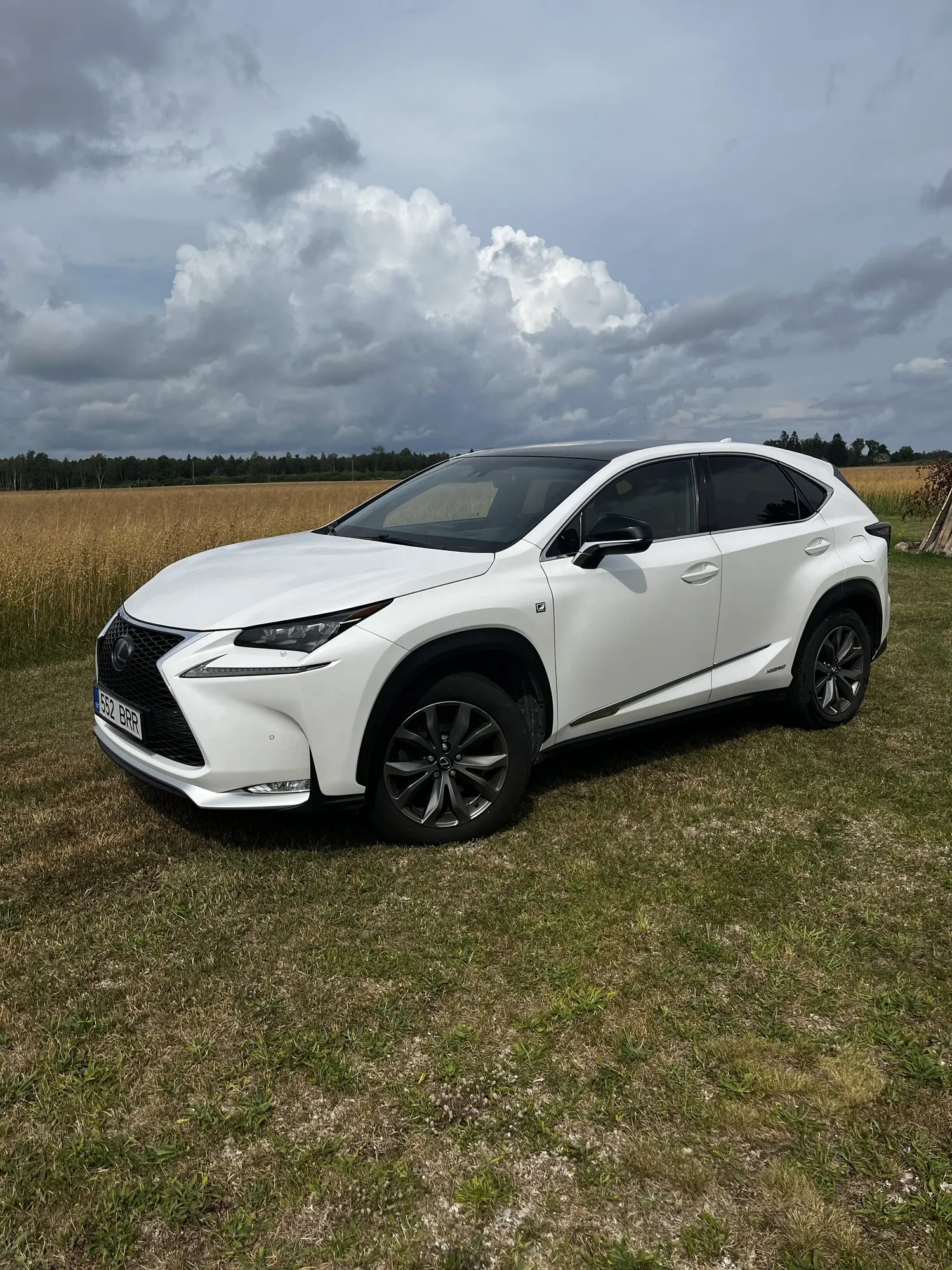 Lexus NX 300h, 2.5, 114 kW, hybrid, automatic, four-wheel drive
