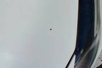 Volkswagen Polo, 1.6, 59 kW, diesel, manual, front-wheel drive