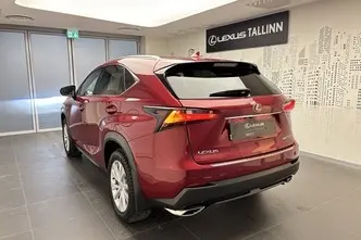 Lexus NX, 2.0, 175 kW, petrol, automatic, four-wheel drive