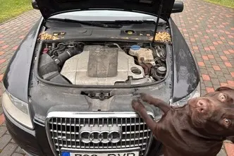 Audi A6 Allroad, 3.0, 171 kW, diisel, automaat, nelikvedu