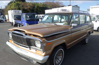 Jeep Wagoneer, 5.9, бензин, автомат, полный привод