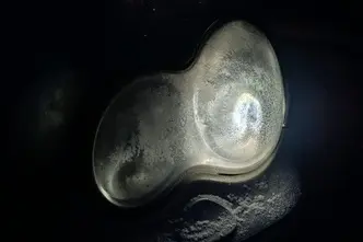 Mercedes-Benz C 220, 2.1, 110 kW, diisel, automaat, tagavedu