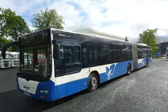 MAN Lion's City G CNG/EEV/4T (310) A23 - 7 bussi, 12.8, 228 kW, cng, automātiskā