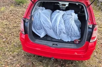 Opel Astra, 1.6, 85 kW, bensiin, manuaal, esivedu