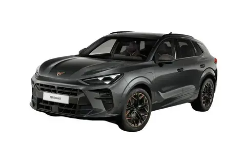 Cupra Terramar, 2025, 2.0, 195 kW, petrol, automatic, four-wheel drive