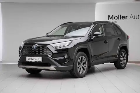 Toyota RAV4, 2024, 2.5, 131 kW, hybrid p+e, automatic, front-wheel drive