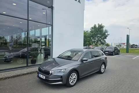 Škoda Octavia, 2024, 2.0, 110 kW, diisel, automaat, esivedu