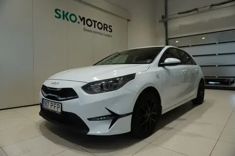 Kia cee'd / Ceed, 2022, 1.5, 118 kW, petrol, manual, front-wheel drive