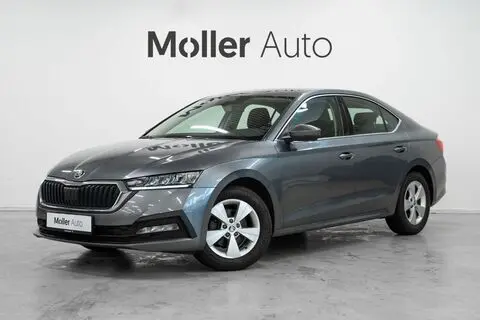Škoda Octavia, 2022, 1.0, 81 kW, bensiin, automaat, esivedu