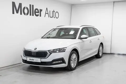 Škoda Octavia, 2021, 2.0, 85 kW, diisel, manuaal, esivedu