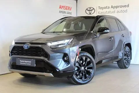 Toyota RAV4, 2024, 2.5, 131 kW, гибрид б+э, автомат, полный привод