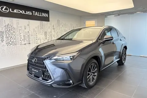 Lexus NX 350h, 2024, 2.5, 140 kW, гибрид б+э, автомат, полный привод