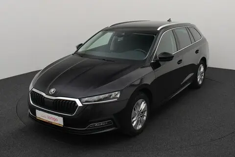 Škoda Octavia, 2022, 2.0, 85 kW, diisel, manuaal, esivedu
