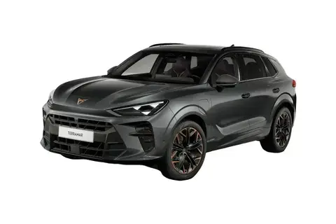Cupra Terramar, 1.5, 110 kW, бензин, автомат, передний привод