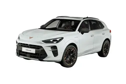 Cupra Terramar, 1.5, 110 kW, бензин, автомат, передний привод