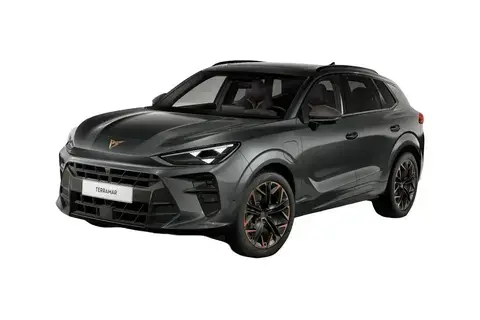 Cupra Terramar, 1.5, 110 kW, бензин, автомат, передний привод