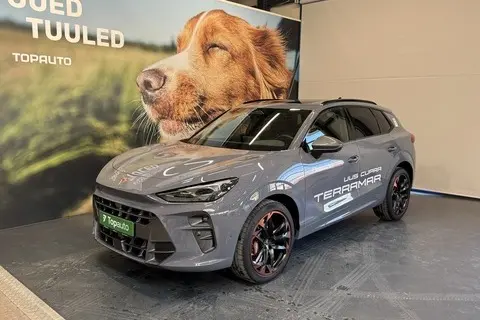 Cupra Terramar, 2025, 2.0, 195 kW, бензин, автомат, полный привод
