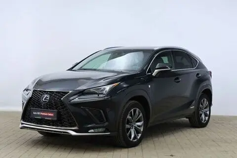 Lexus NX 300h, 2019, 2.5, 114 kW, hybrid p+e, automatic, four-wheel drive
