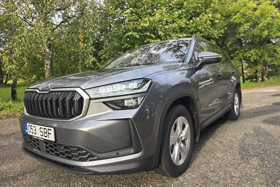 Škoda Kodiaq, 2024, 2.0, 142 kW, diesel, automatic, four-wheel drive