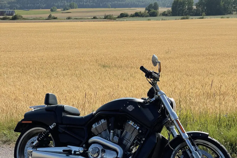 Harley-Davidson VRSCF V-ROD MUSCLE, 2016, 1.2, 89 kW, bensiin, manuaal, tagavedu